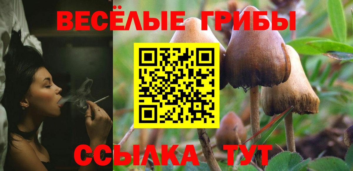 Псилоцибиновые грибы мицелий Ртищево